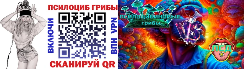 что такое   Вольск  Галлюциногенные грибы Psilocybe 