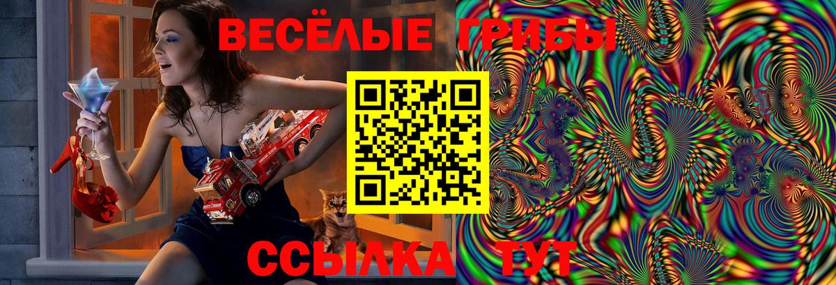 Псилоцибиновые грибы Magic Shrooms Вольск