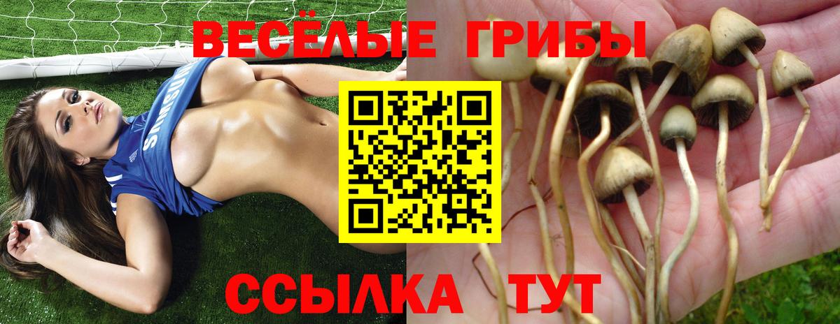 Псилоцибиновые грибы Cubensis  Галлюциногенные грибы Magic Shrooms  Вольск  Вход с VPN 